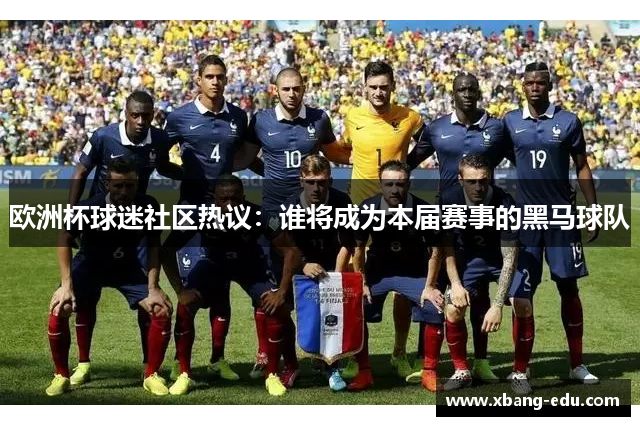 欧洲杯球迷社区热议：谁将成为本届赛事的黑马球队