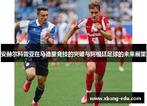 安赫尔科雷亚在马德里竞技的突破与阿根廷足球的未来展望