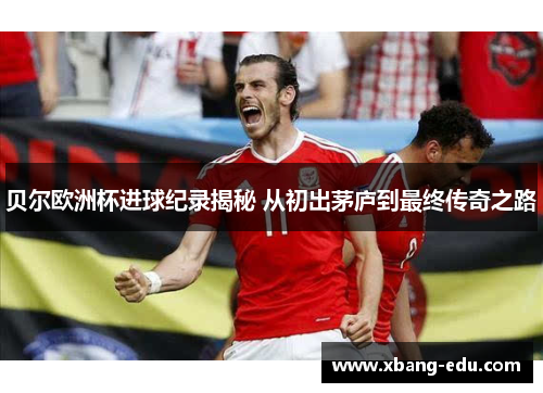 贝尔欧洲杯进球纪录揭秘 从初出茅庐到最终传奇之路