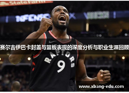 赛尔吉伊巴卡封盖与篮板表现的深度分析与职业生涯回顾