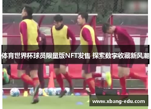 体育世界杯球员限量版NFT发售 探索数字收藏新风潮