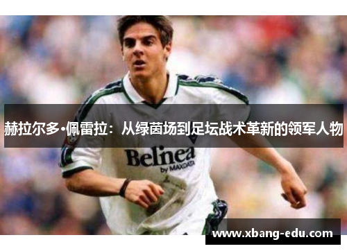 赫拉尔多·佩雷拉：从绿茵场到足坛战术革新的领军人物
