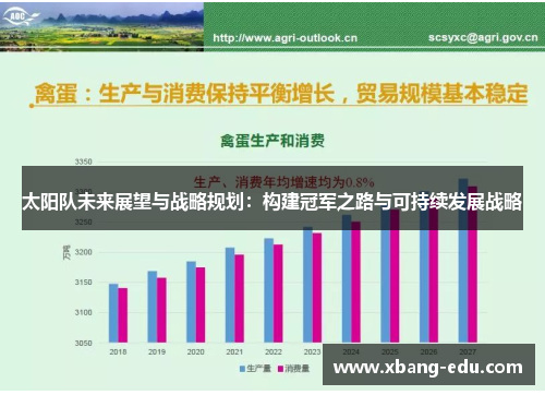 太阳队未来展望与战略规划：构建冠军之路与可持续发展战略