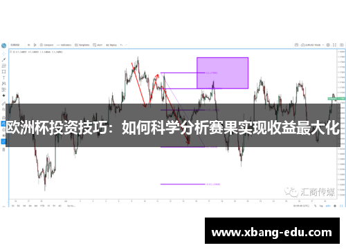 欧洲杯投资技巧：如何科学分析赛果实现收益最大化