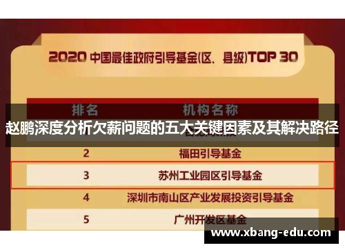 赵鹏深度分析欠薪问题的五大关键因素及其解决路径